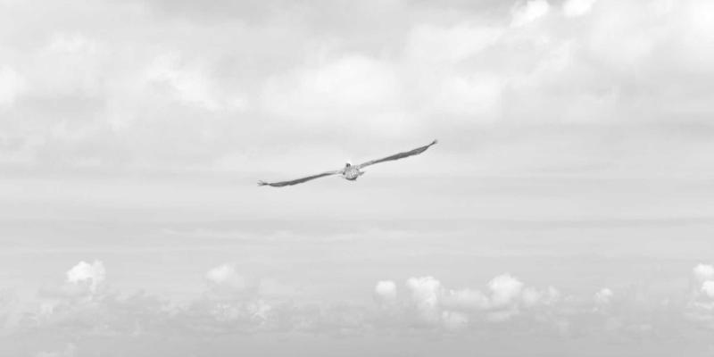 从手办到米奇街：二次元穿搭进阶指南，让动漫文化点亮日常衣橱