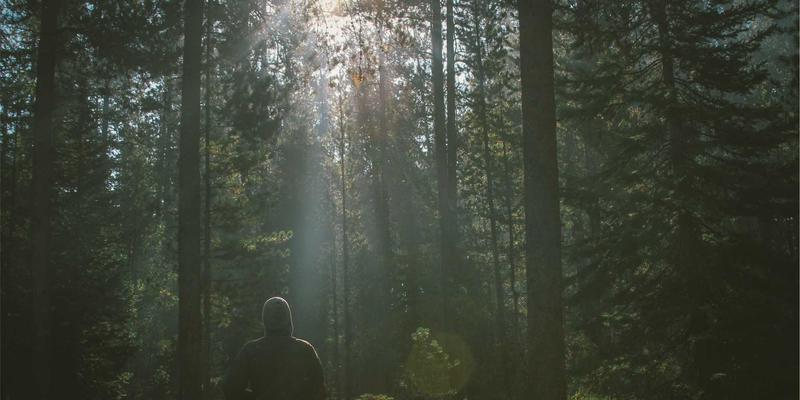 声优签名周边终极指南：从见面会抽选秘笈到官方商店限定品攻略